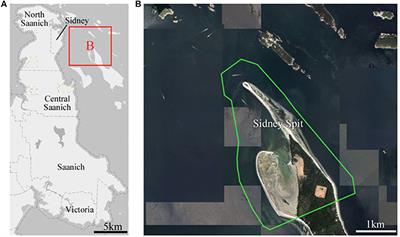 Visualizing Our Options for Coastal Places: Exploring Realistic Immersive Geovisualizations as Tools for Inclusive Approaches to Coastal Planning and Management